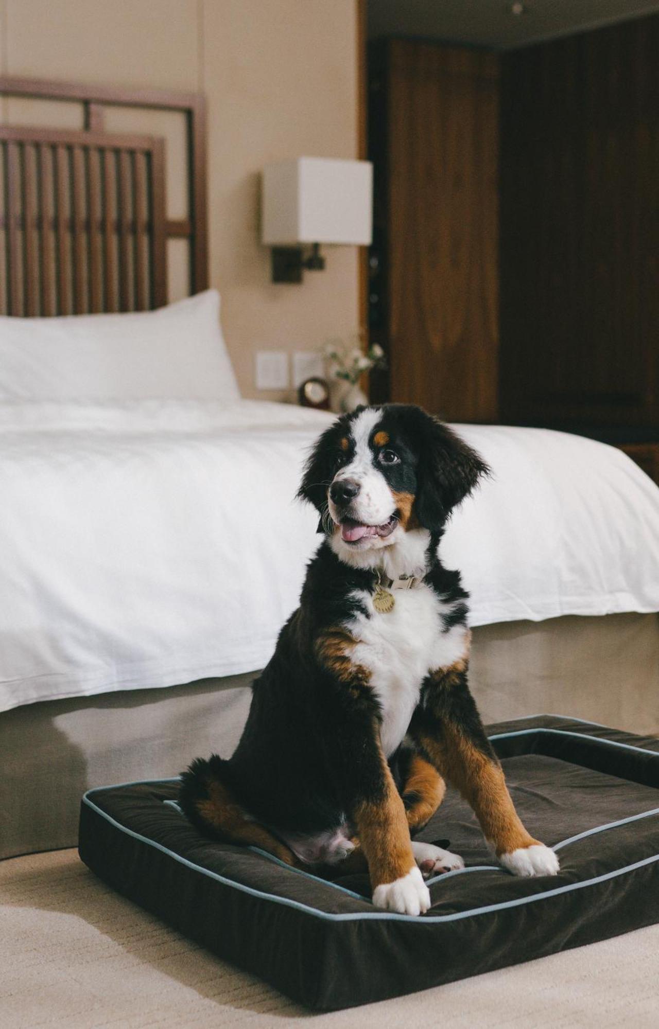 Shangri-La Vancouver Zewnętrze zdjęcie
